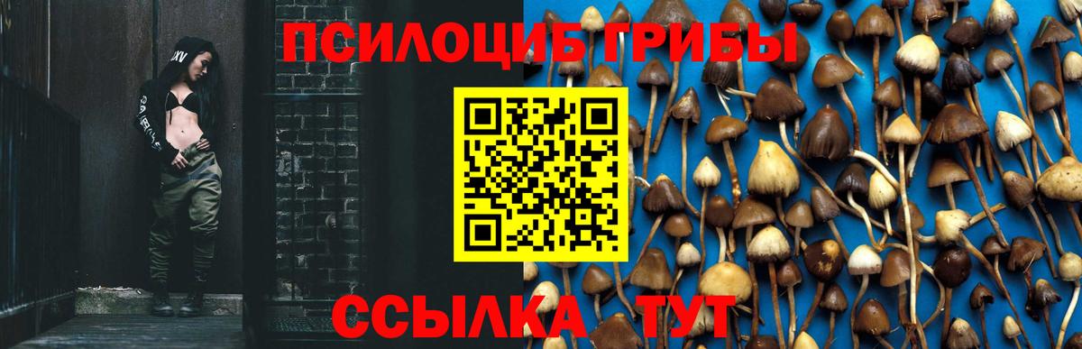 Галлюциногенные грибы Magic Shrooms Жигулёвск